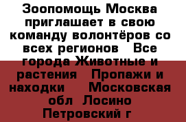 Зоопомощь.Москва приглашает в свою команду волонтёров со всех регионов - Все города Животные и растения » Пропажи и находки   . Московская обл.,Лосино-Петровский г.